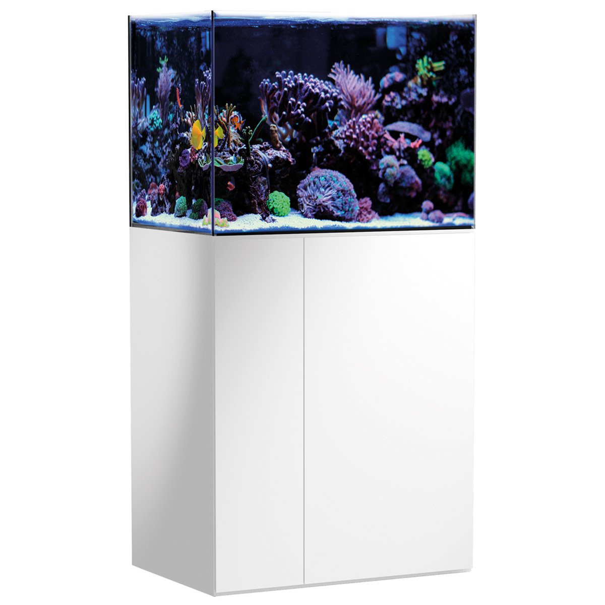 Aqua Medic Armatus 250 Meerwasseraquarium online kaufen Aqua Medic Armatus 250 Meerwasseraquarium online kaufen