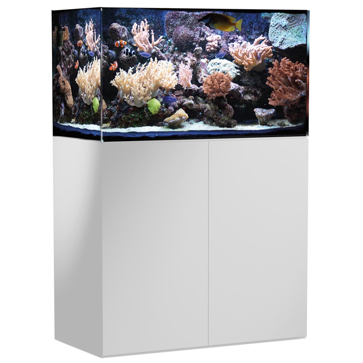 Aqua Medic Armatus 300 Meerwasseraquarium online kaufen Aqua Medic Armatus 300 Meerwasseraquarium online kaufen