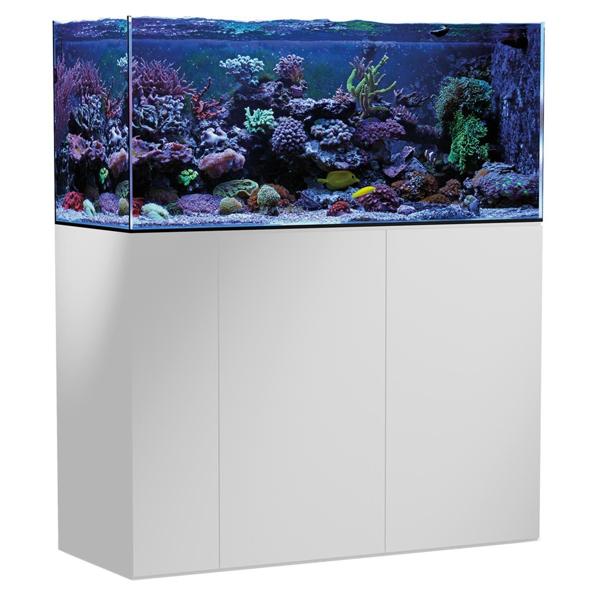 Aqua Medic Armatus 400 Meerwasseraquarium online kaufen Aqua Medic Armatus 400 Meerwasseraquarium online kaufen