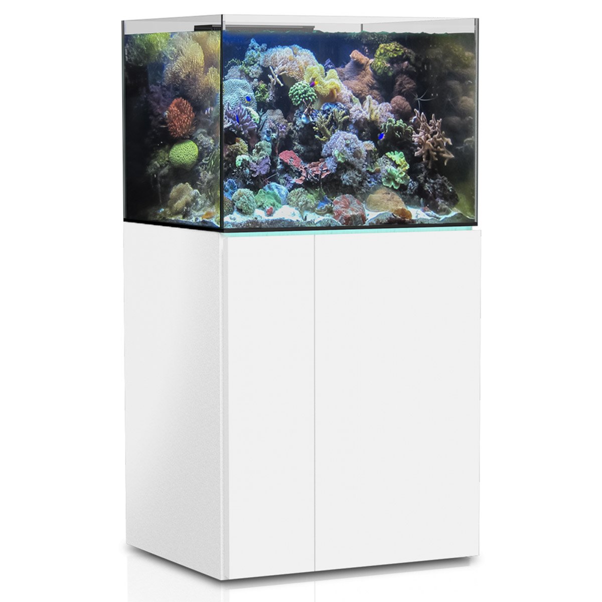 Aqua Medic Meerwasseraquarium Armatus XD weiß 375 Meerwasseraquarium online kaufen Aqua Medic Meerwasseraquarium Armatus XD weiß 375 Meerwasseraquarium online kaufen
