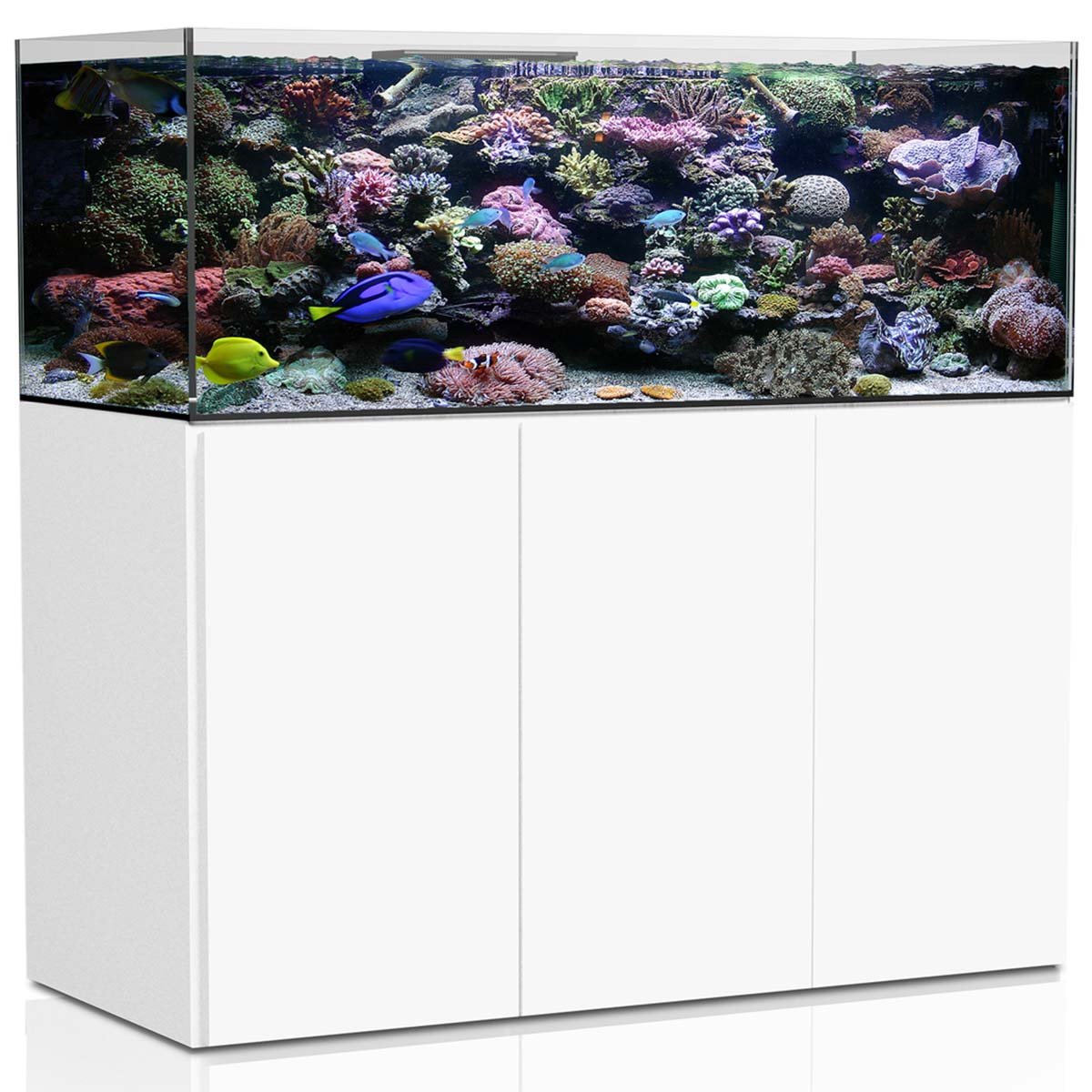 Aqua Medic Meerwasseraquarium Armatus XD weiß 575 Meerwasseraquarium online kaufen Aqua Medic Meerwasseraquarium Armatus XD weiß 575 Meerwasseraquarium online kaufen
