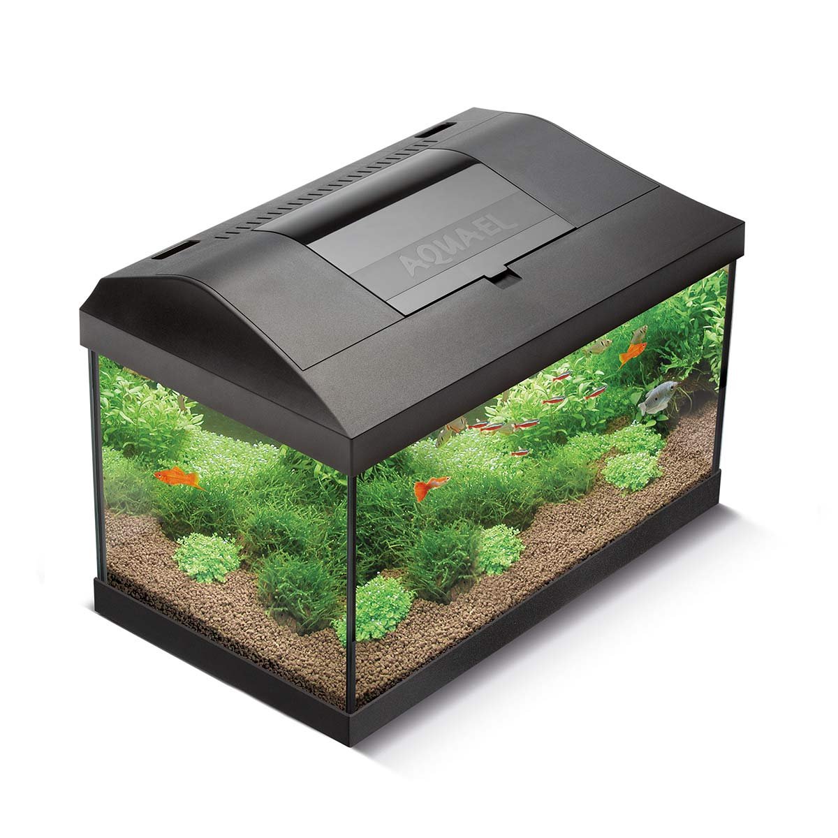 Aquael Aquarienset Leddy Tag und Nacht schwarz 2.0 Leddy 40 (25 Liter) Süßwasseraquarium online kaufen Aquael Aquarienset Leddy Tag und Nacht schwarz 2.0 Leddy 40 (25 Liter) Süßwasseraquarium online kaufen