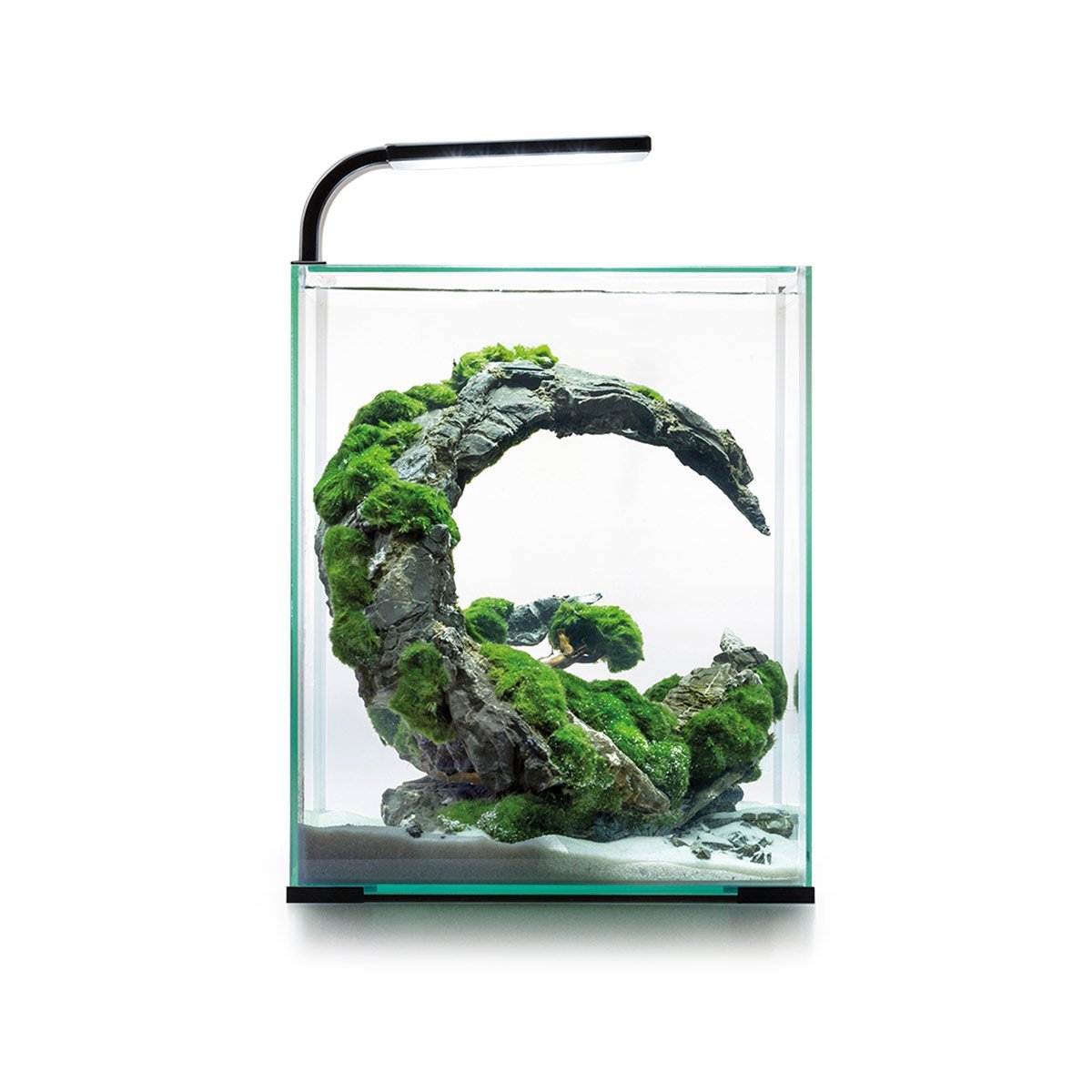 Aquael Shrimp Set Tag und Nacht schwarz 30 Liter, 29 x 29 x 35 cm Nanoaquarium online kaufen