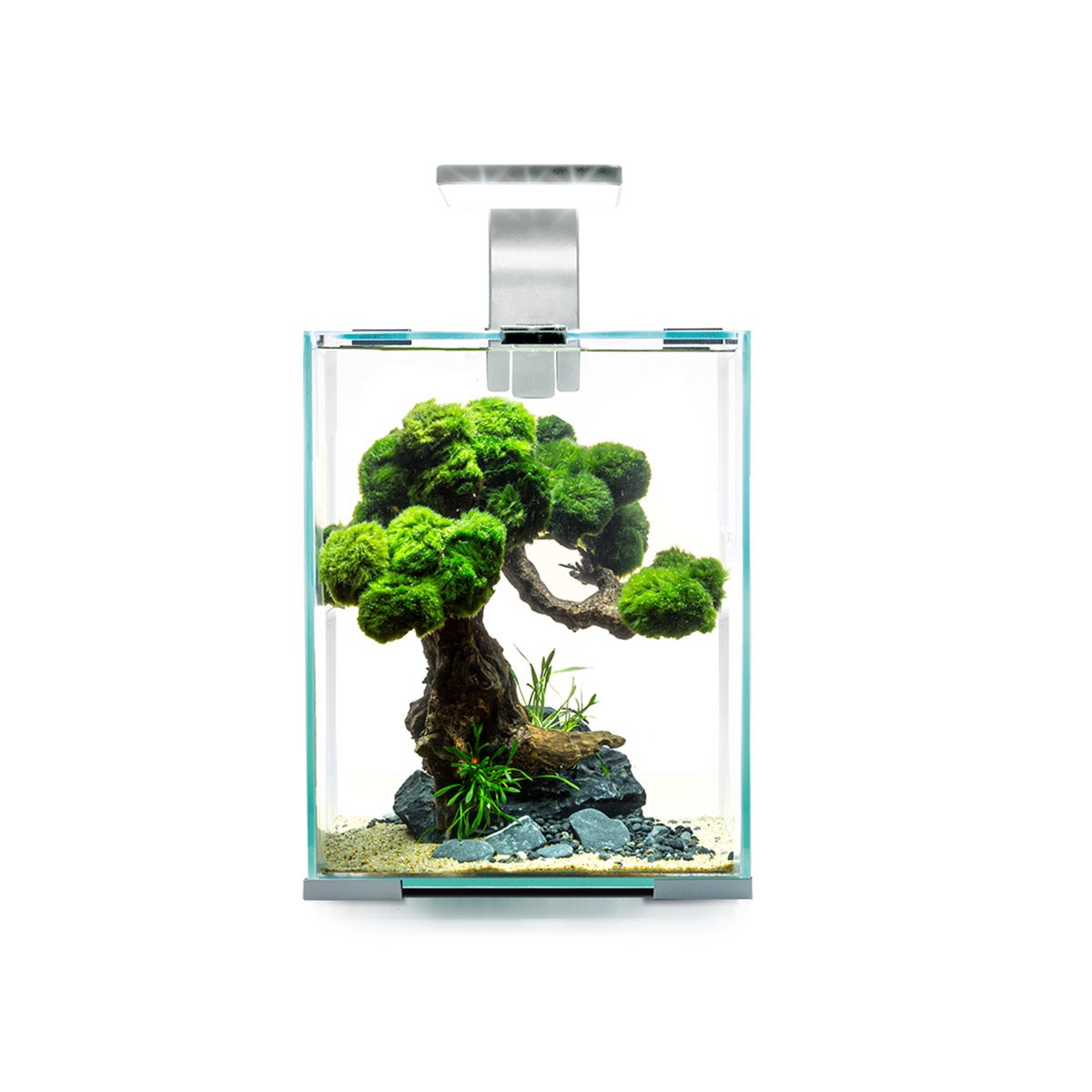Aquael Shrimp Set Tag und Nacht weiß 10 Liter, 20 x 20 x 25 cm Nanoaquarium online kaufen