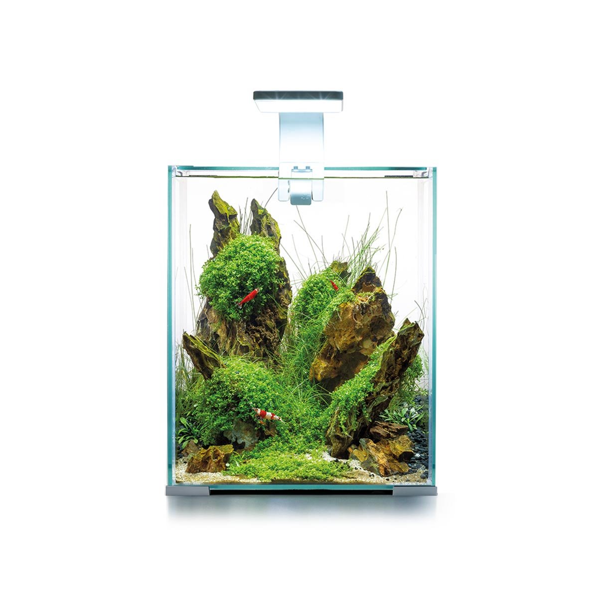 Aquael Shrimp Set Tag und Nacht weiß 20 Liter, 25 x 25 x 30 cm Nanoaquarium online kaufen
