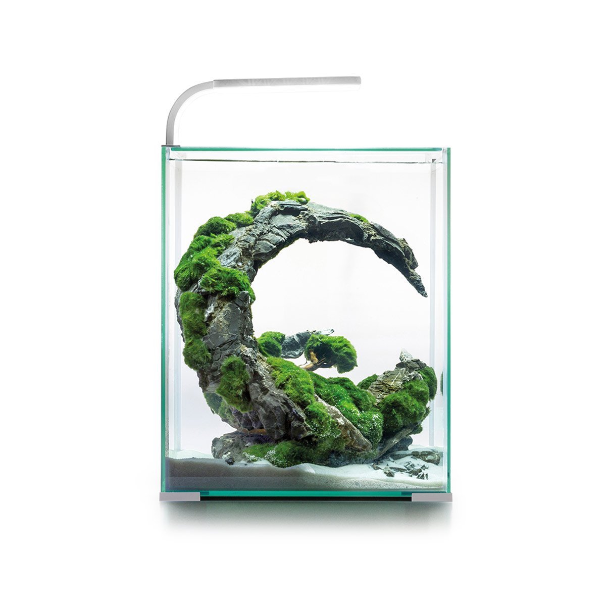 Aquael Shrimp Set Tag und Nacht weiß 30 Liter, 29 x 29 x 35 cm Nanoaquarium online kaufen