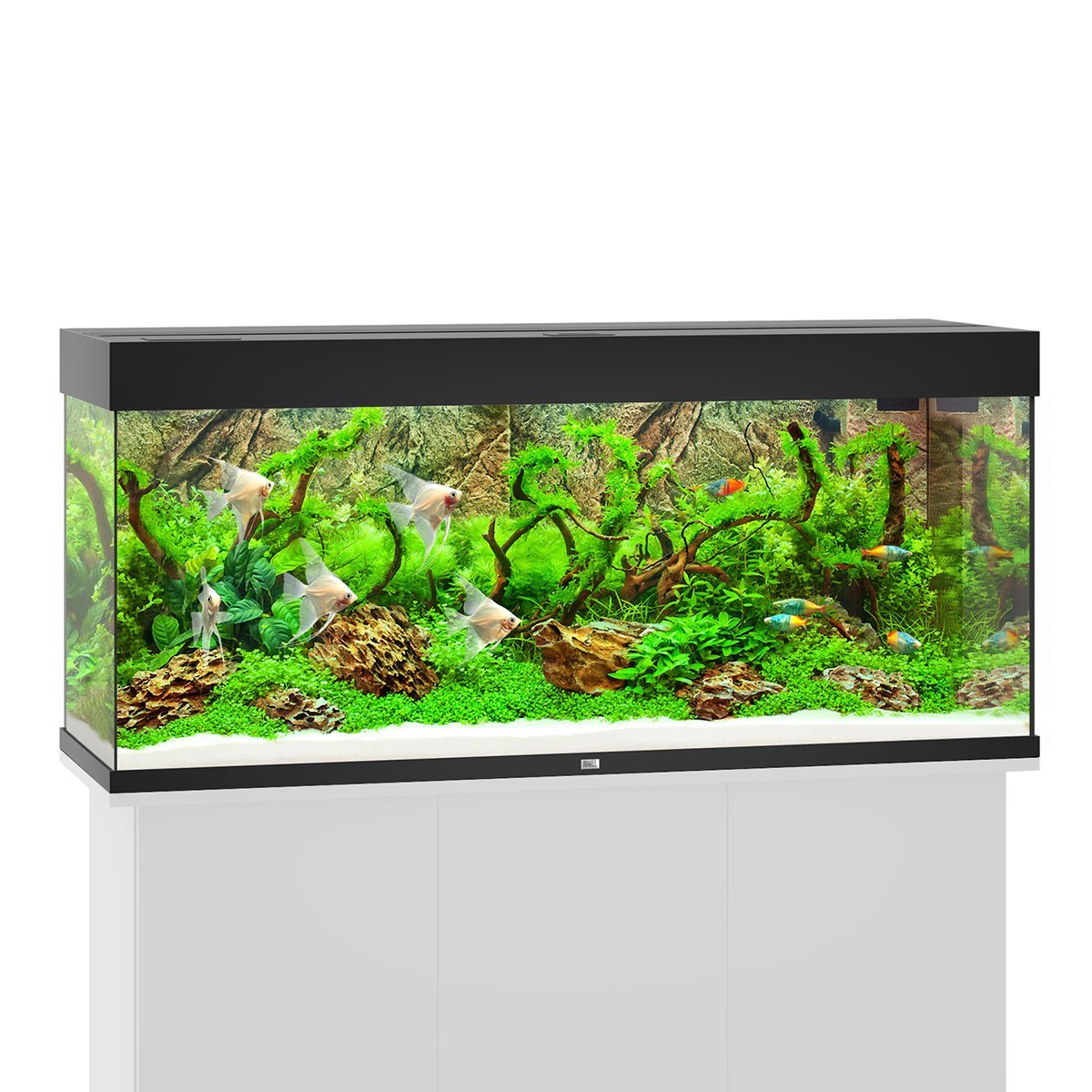 Juwel Rio 240 LED Komplett Aquarium ohne Schrank schwarz Süßwasseraquarium online kaufen