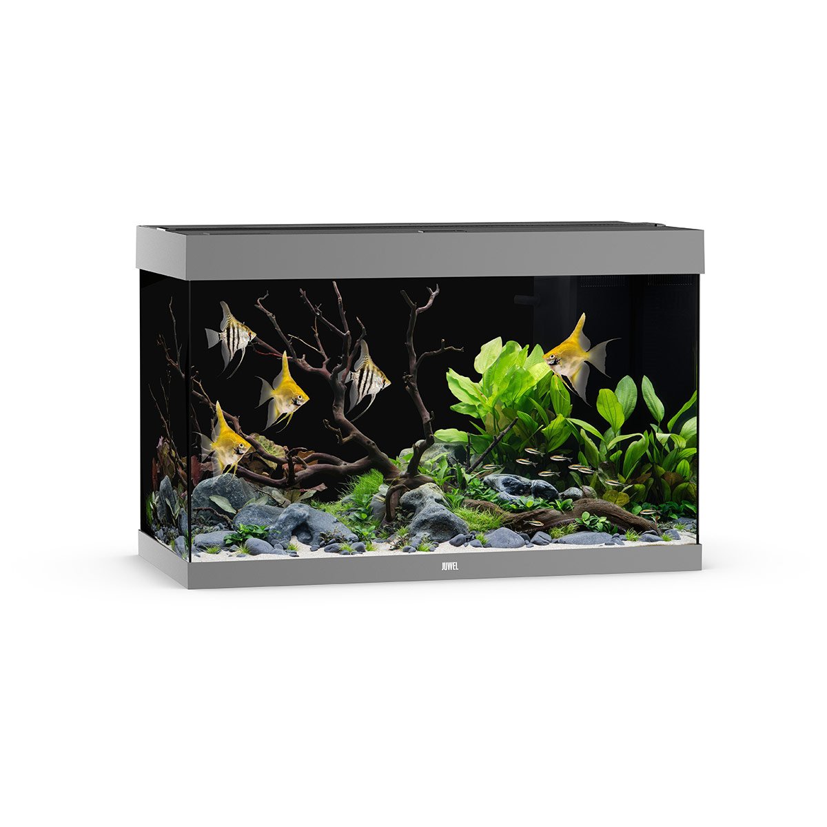 Juwel Rio 290 LED Aquarium Grau Süßwasseraquarium online kaufen Juwel Rio 290 LED Aquarium Grau Süßwasseraquarium online kaufen