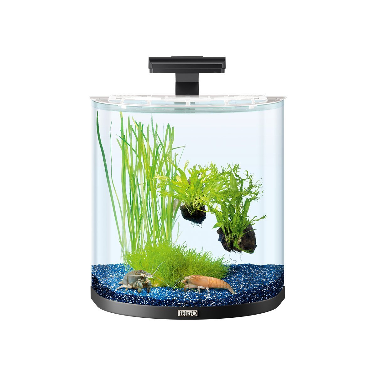 Tetra AquaArt Explorer Line Halfmoon Komplett-Set 30l anthrazit Nanoaquarium online kaufen
